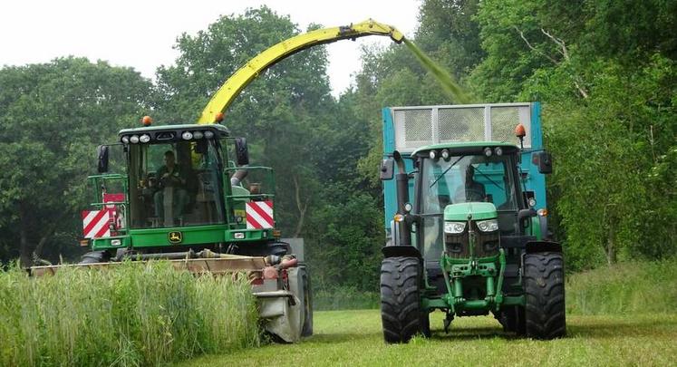 Une fois les méteils associant céréales et protéagineux récoltés en ensilage, la prairie est déjà bien implantée et prête à pousser sur la fin de printemps.