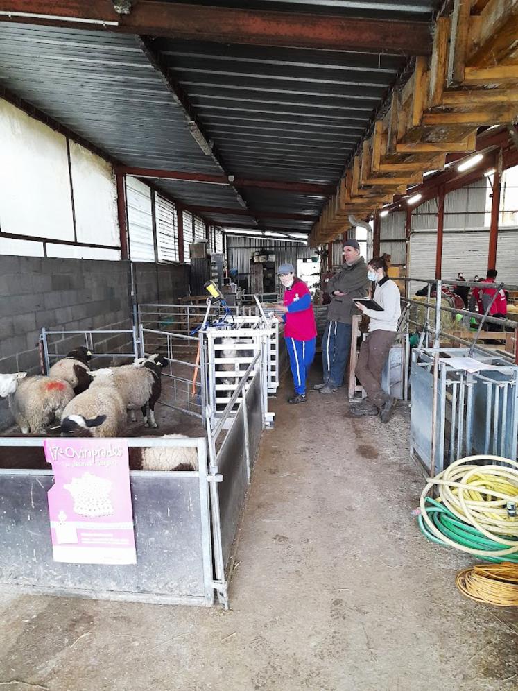 Les candidats avaient six épreuves pratiques et une épreuve théorique à passer.