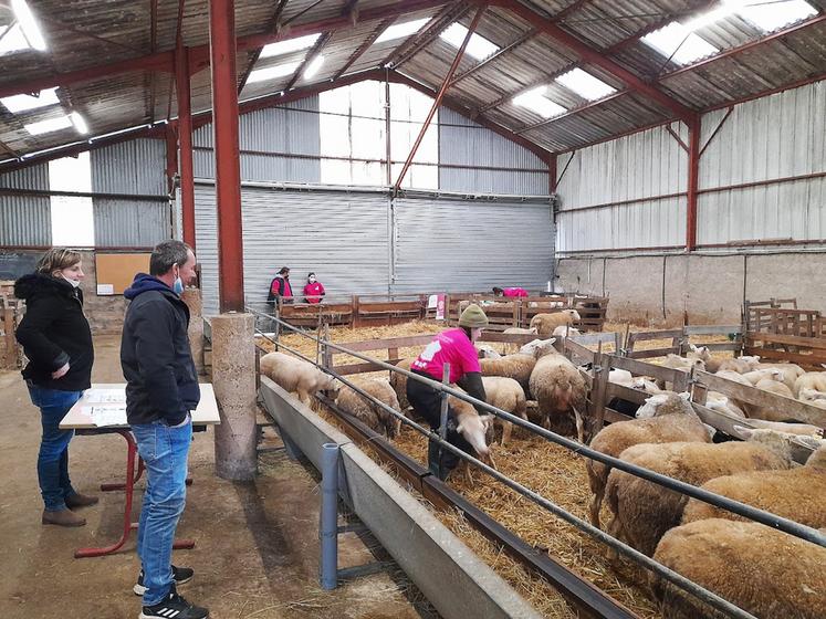 Mercredi 2 février, à l'exploitation agricole de Villavard. Vingt et un élèves ont concouru lors de la finale territoriale des Ovinpiades de Centre-Val de Loire. 