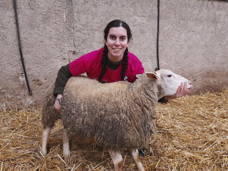 Elsa Leclair, élève en deuxième année de BTSA Productions animales au lycée de Vendôme, a été désignée finaliste. Elle concourra lors de la finale nationale des Ovinpiades, le 26 février à Paris.