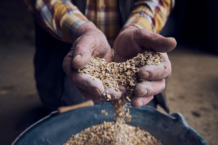 Le collectif Ici la terre lance une campagne de communication avec le hashtag #CesMainsQuiVousNourrissent à l'occasion du Salon de l'agriculture.