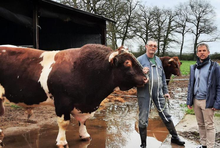 Tout juste avant le Sia, Benoit Rousselet, coordinateur de la SDA 41, est allé à la rencontre des éleveurs sur le terrain. Ici, Frédéric Jaffré (EARL Jaffré et fils), à La Marolle-en-Sologne, et son taureau rouge des prés New-York qui concourra au CGA. 