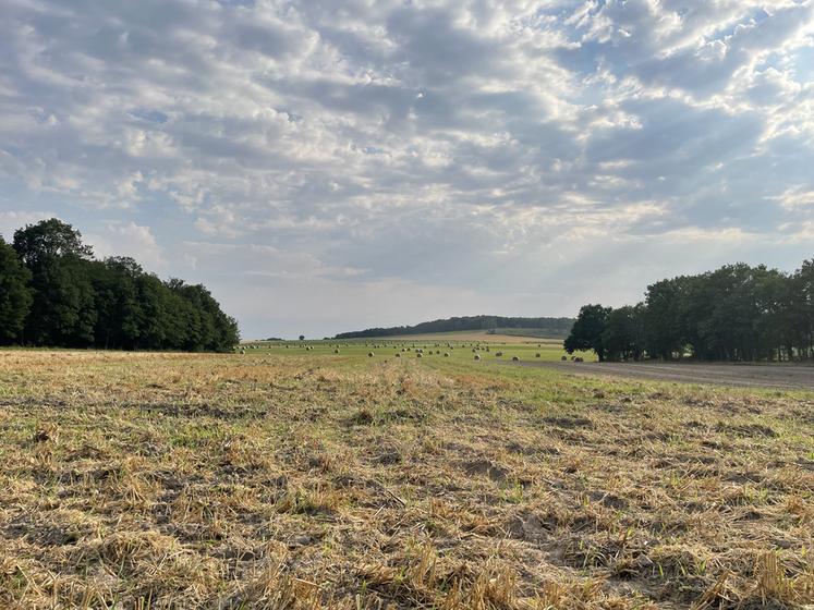 Avant tout, pour avoir le droit de construire, il faut impérativement l’autorisation du propriétaire du sol. 