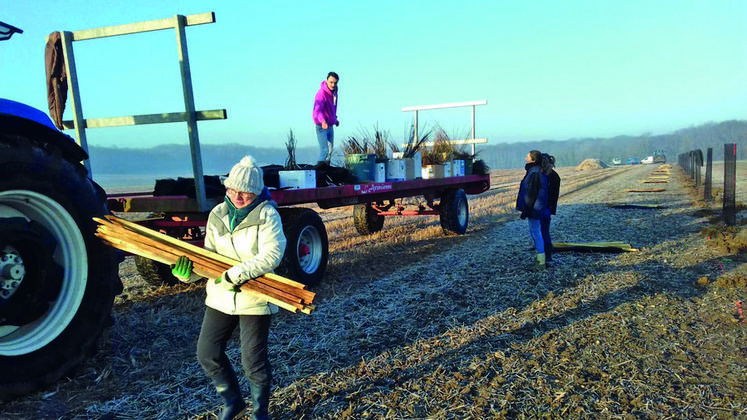 Courant janvier à La Chapelle-en-Vexin (Val-d'Oise), Frédéric Boulard a planté 900 mètres de haies brise-vent.