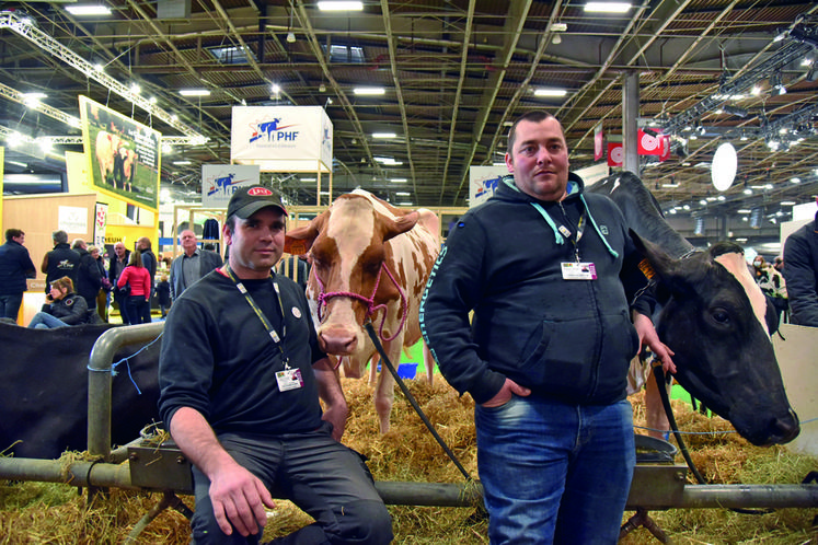 Cédric Villoing, du Gaec Les Bordelets à Saint-Gondon (Loiret), et Sébastien Bonamy, de l'EARL des Fromenteries, à Cléry-Saint-André (Loiret), étaient au Sia pour faire participer trois de leurs vaches au concours de la race prim'holstein	: OléronEHB, IndigoEHB et Naia Red.