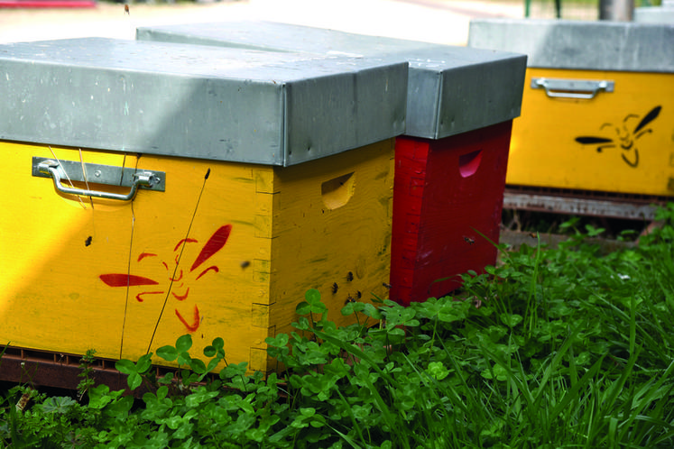 Grâce à ce financement, l'Esat prévoit d'ajouter deux ruches à son rucher.