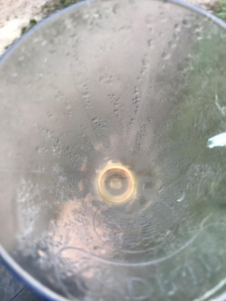 Drôle de couleur cette eau… Non le pluviomètre n'est pas sale, mais le passage d'une masse d'air chargée en sable en provenance du Sahara a donné une couleur orangée au ciel mardi et mercredi. 