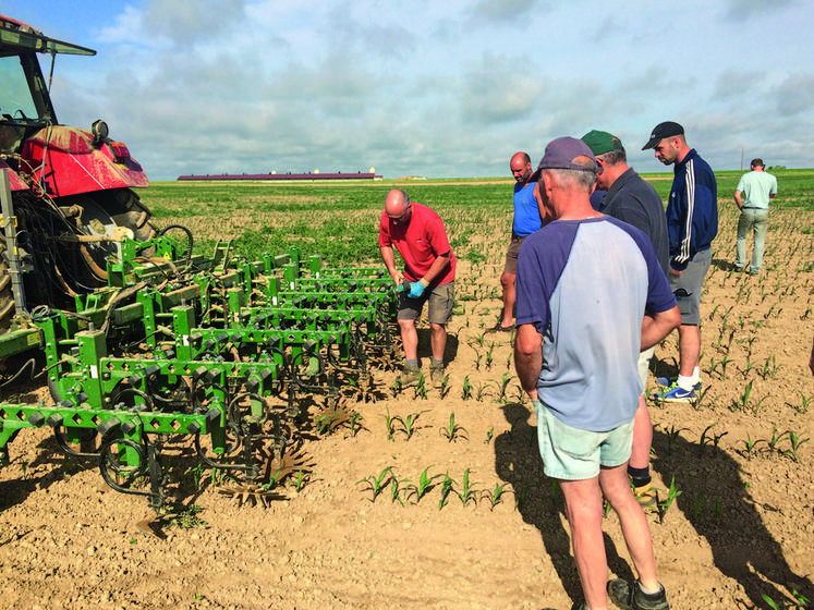 L'an passé, en juin, lors d’une démonstration de désherbage mécanique en maïs.