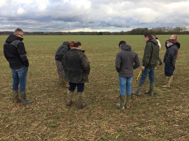 Visite hivernale de l'exploitation de F. Gilloots en agriculture de conservation.