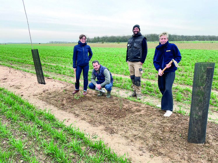 Le 17 mars, à Villeneuve-Saint-Nicolas. Yves Gauthier (2e à g.) a bénéficié de l'aide financière de La Poste, du soutien technique de l'AFA et social de la ­fondation GoodPlanet, pour son projet d'agroforesterie.