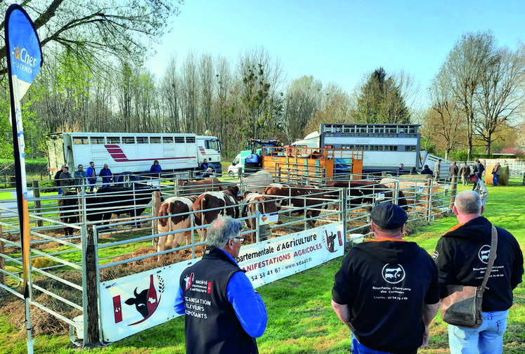 Dimanche 27 mars, à Pruniers-en-Sologne. Alain Pardé (à g.), commissaire général de la SDA 41, accompagné des bouchers. 