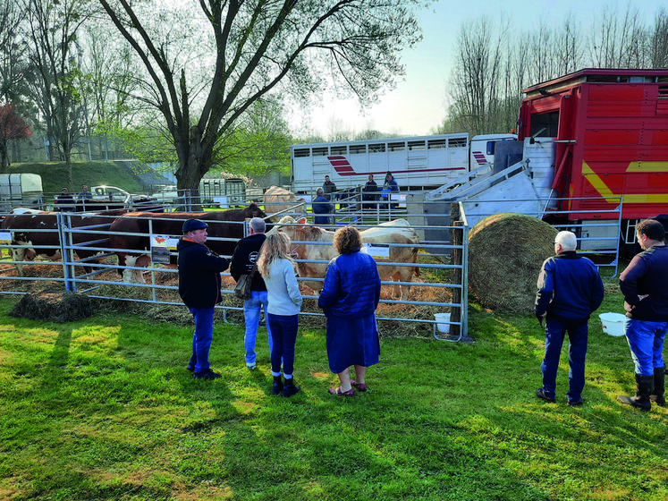Les visiteurs ont pu profiter du beau temps pour voir les animaux et échanger avec les éleveurs. 