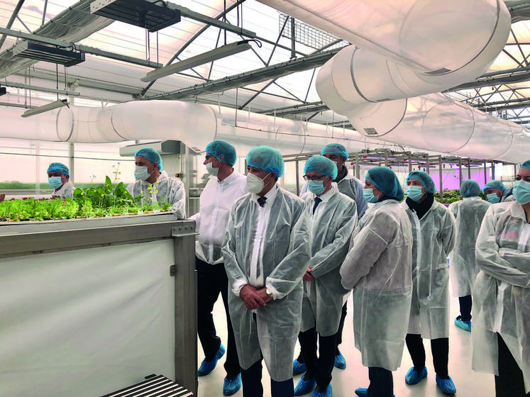 La délégation s'est rendue dans la serre innovante de la société Les Crudettes, à Châteauneuf-sur-Loire.