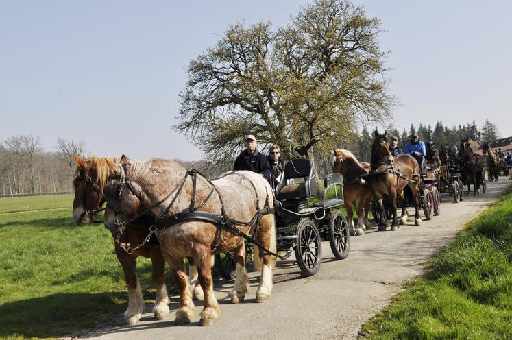 En amont de l'assemblée générale, meneurs et cavaliers de l'Actif ont effectué un parcours de 12 km.
