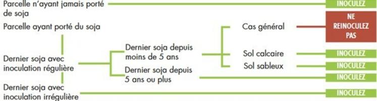 Critères d'inoculation du soja.