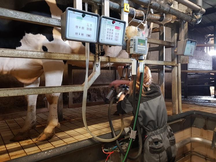 Pour éviter les troubles musculo-squelettiques lors de la traite, il convient de travailler le plus possible les bras en dessous ou à la hauteur du cSur ; être debout, dos droit avec un appui antérieur (au niveau du bassin) ; limiter le poids des charges à manipuler par les membres supérieurs (poids des faisceaux, seaux, etc.).