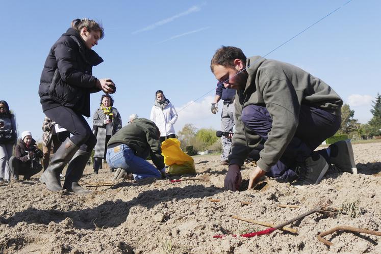 Une plantation très médiatique début avril aux Montils. 