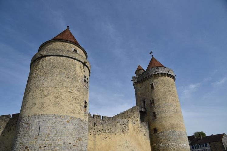 Le donjon et la muraille de Blandy-les-Tours.