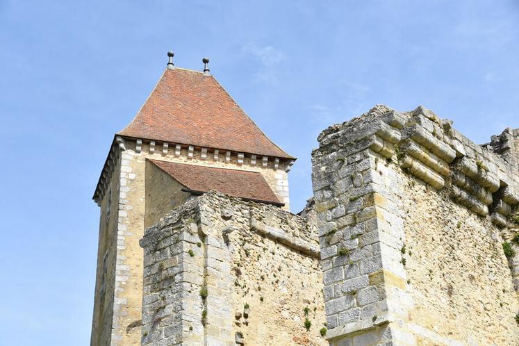 L'une des tours du château de Blandy-les-Tours.