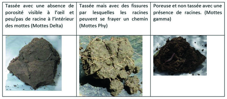 Le tassement du sol est à prendre en compte pour réussir l'implantation de son colza.