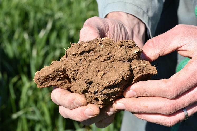 L'observation de la structure d'une motte de terre est une étape primordiale.