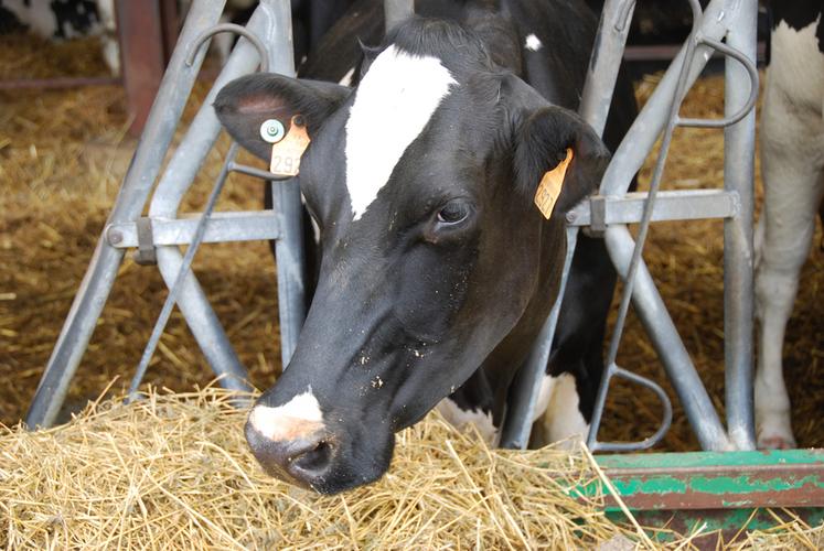 Avoir des stocks pour prévoir l’avenir est nécessaire, surtout dans le contexte de hausse des prix actuel.
