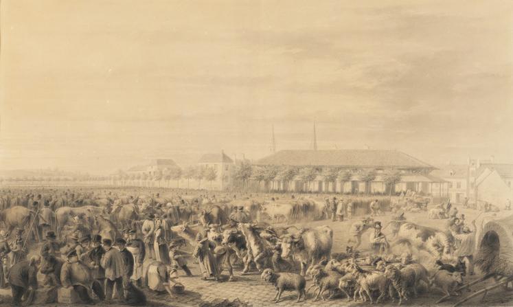 La Foire de Poissy a alimenté Paris durant de nombreux siècles.