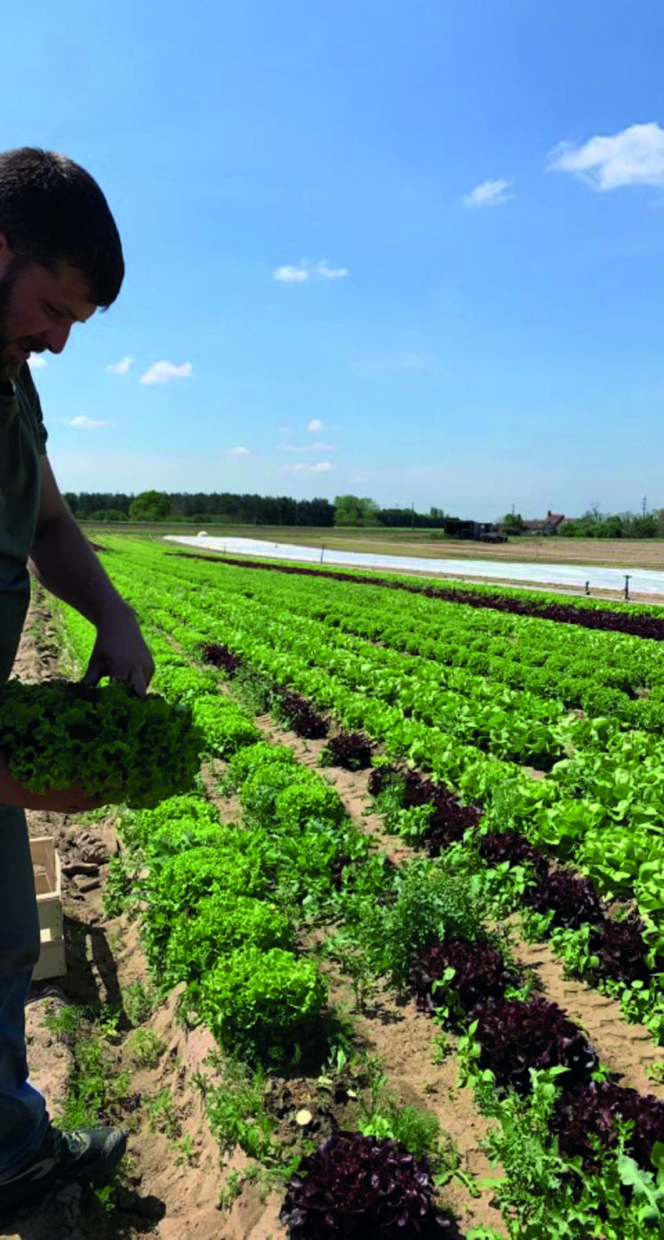 Nicolas Tourne installé depuis deux ans est un nouveau JA du canton Jargeau - Châteauneuf.