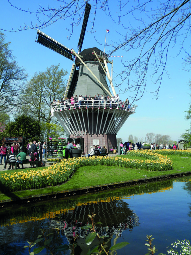 Un moulin, bordé d'un ru et d'une multitude de fleurs, a été visité par le groupe lors de la balade à Keukenhof.