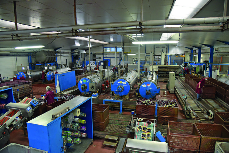 L'usine emploie plus de 40 personnes à l'année et quelques saisonniers. La période de semis des betteraves s'étend de février à juin. Il lui faut 120 jours pour arriver à maturité.