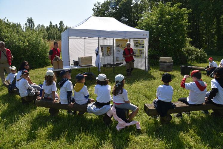 Les abeilles et l'apiculture.