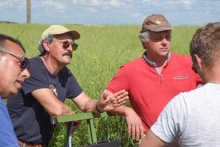 Le 16 mai, à Châtaincourt. Les agronomes de la Chambre et de Terres Inovia, Dominique Delaunay (à g.) et Julien Charbonnaud (à d.), ont expliqué par le menu comment réussir sa culture de colza.