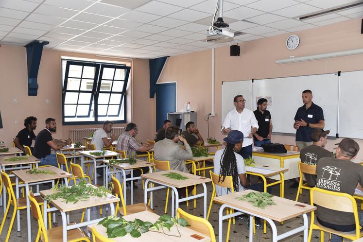 Le 17 mai, à Paris. De nombreux professionnels participent au concours régional de reconnaissance des végétaux.