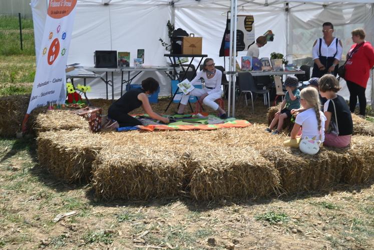 Le stand «	coin-coin la jeunesse	», qui était la réunion des médiathèques de la communauté de communes du Perche et Haut-Vendômois, organisait des ateliers ludiques pour les enfants. 