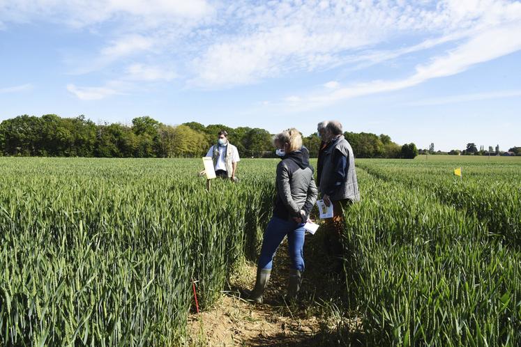 En 2021, la plateforme Adarel avait été organisée à Chuelles sur le thème de la génétique au service de l’agronomie.