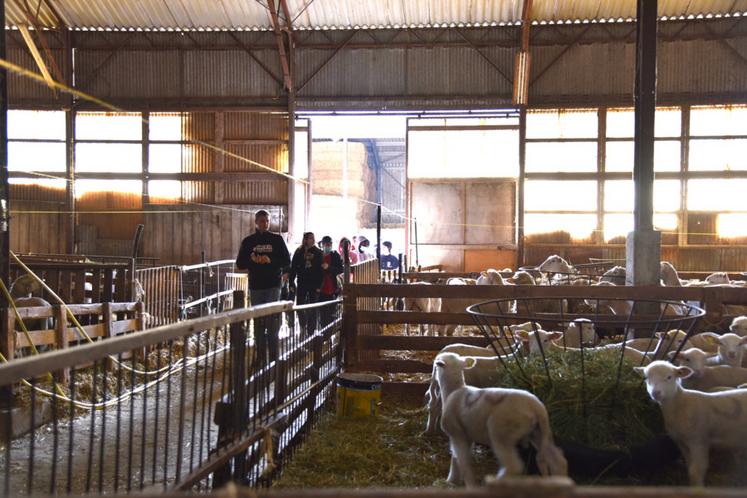 Le Gaec des Bergers a accueilli vingt-neuf élèves du lycée Jean-de-la-Taille de Pithiviers pour expliquer l'activité de polyculture-élevage.