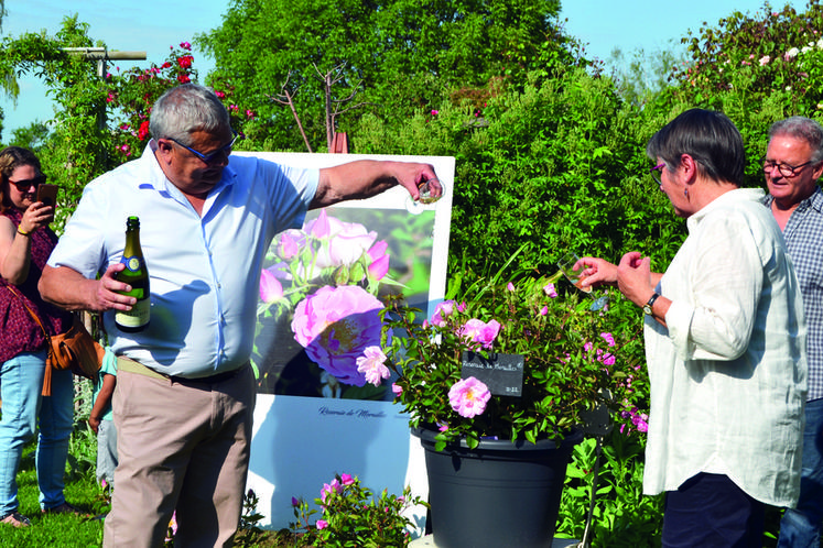 À la Roseraie de Morailles, Philippe Chaline, maire de Pithiviers-le-Vieil, a baptisé au champagne le rosier dont il est le parrain.