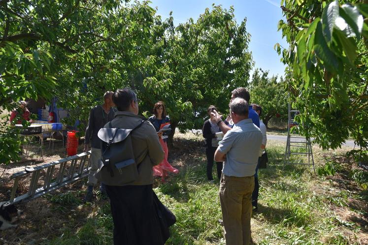 L’exploitation arboricole de Thierry Lanson était le théâtre de la présentation des besoins en main-d’œuvre et les spécificités de la filière cerise, le 2 juin.