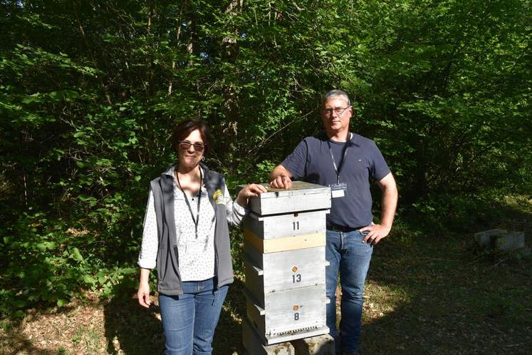 Stéphane et Marie Lebrun, apiculteurs.