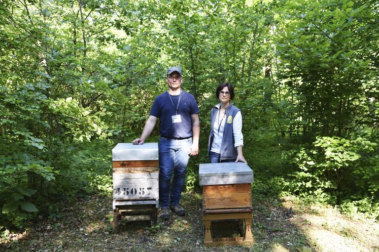 À la tête de l'association, Stéphane et Marie Lebrun sont férus d'apiculture.