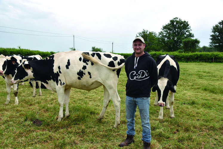 Rémi Marteau présentait son pâturage tournant dynamique. Il s'agit de changer quotidiennement de parcelles ses vaches laitières et certaines de ses génisses afin que l'herbe soit toujours appétente.
