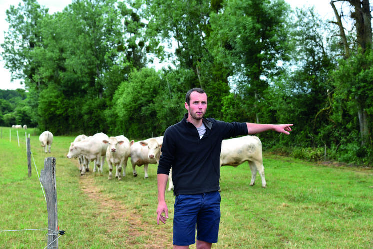 Thomas Cleriot, conseiller bovins viande Alysé, présentait le suivi du pâturage tournant mis en place sur un lot de génisses allaitantes de 18 et 30 mois. La parcelle était découpée en 7 paddocks d'un hectare chacun. Les animaux migraient tous les 4 à 5 jours pour avoir toujours une herbe au stade 3 feuilles.