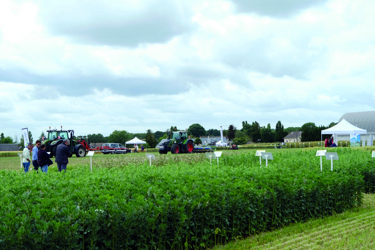 Jeudi 9 juin, à Théléville. Près de 200 agriculteurs se sont retrouvés à l'occasion de l'Agricampus de la Scael, pour découvrir les innovations et développer leurs systèmes de production.