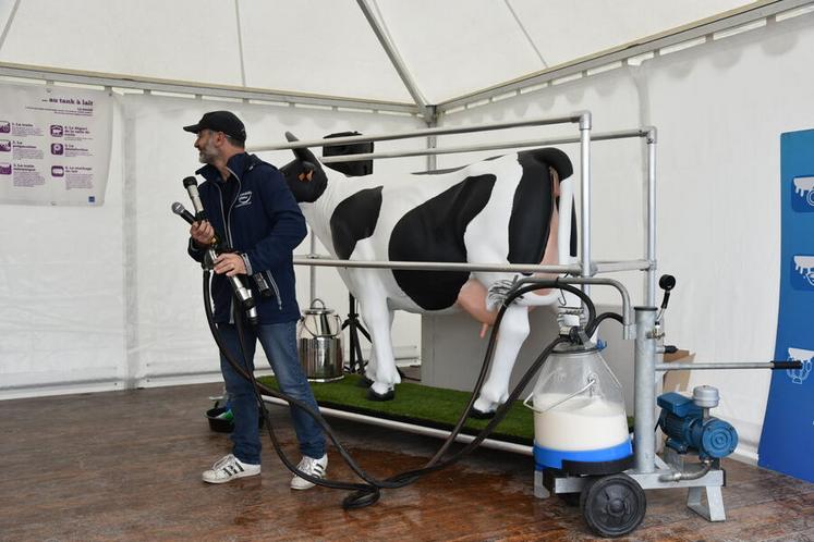 Présentation de la traite de la vache.