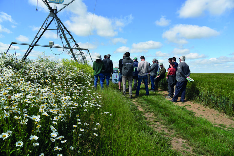 Depuis trois ans, Laurent Gasnier a implanté plus d'un hectare du mélange Pollifauniflor sur ses parcelles.