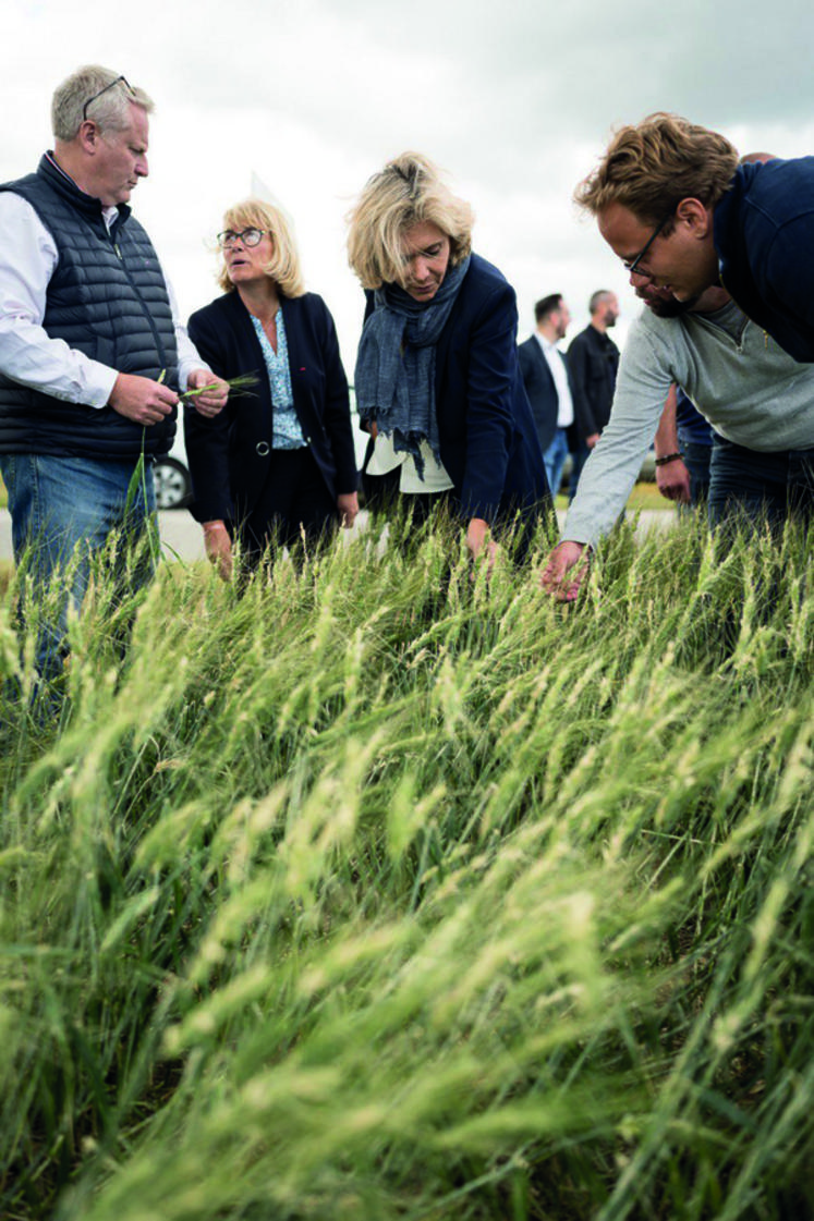 La présidente de la Région s'est rendue sur une parcelle grêlée avec sa vice-présidente en charge de l'Agriculture, Valérie Lacroute.