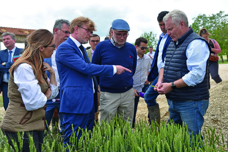 Le 9 juin, à Prunay-en-Yvelines. Le ministre de l'Agriculture, Marc Fesneau, est venu constater les dégâts provoqués par la grêle dans le sud-Yvelines.