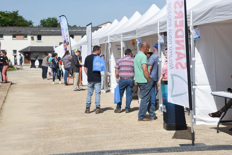 Mardi 14 juin, à Miermaigne. Les exposants ont proposé des solutions de diversification aux exploitants qui se sont déplacés à Cultur&co.