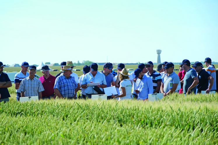 La journée agronomique était aussi l'occasion de faire un point sur les variétés proposées.