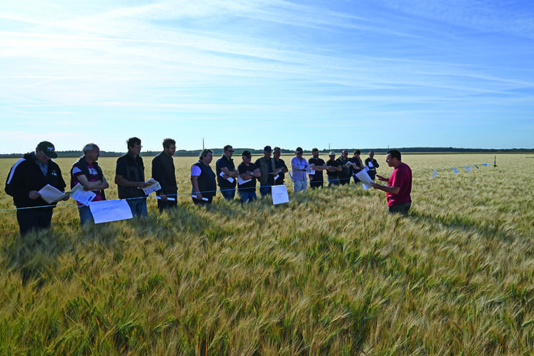 Frédéric Cadoux, conseiller au pôle grandes cultures de la chambre d'Agriculture, a présenté aux agriculteurs présents les différents fongicides testés. 